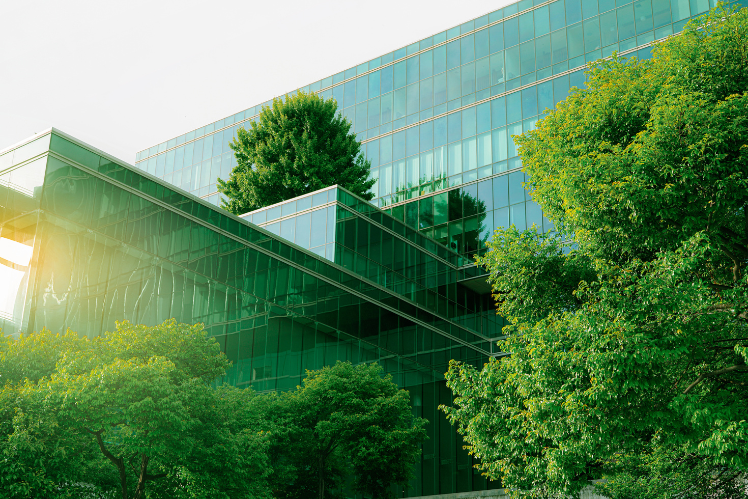 ESG regulatory compliance requirements across global jurisdictions