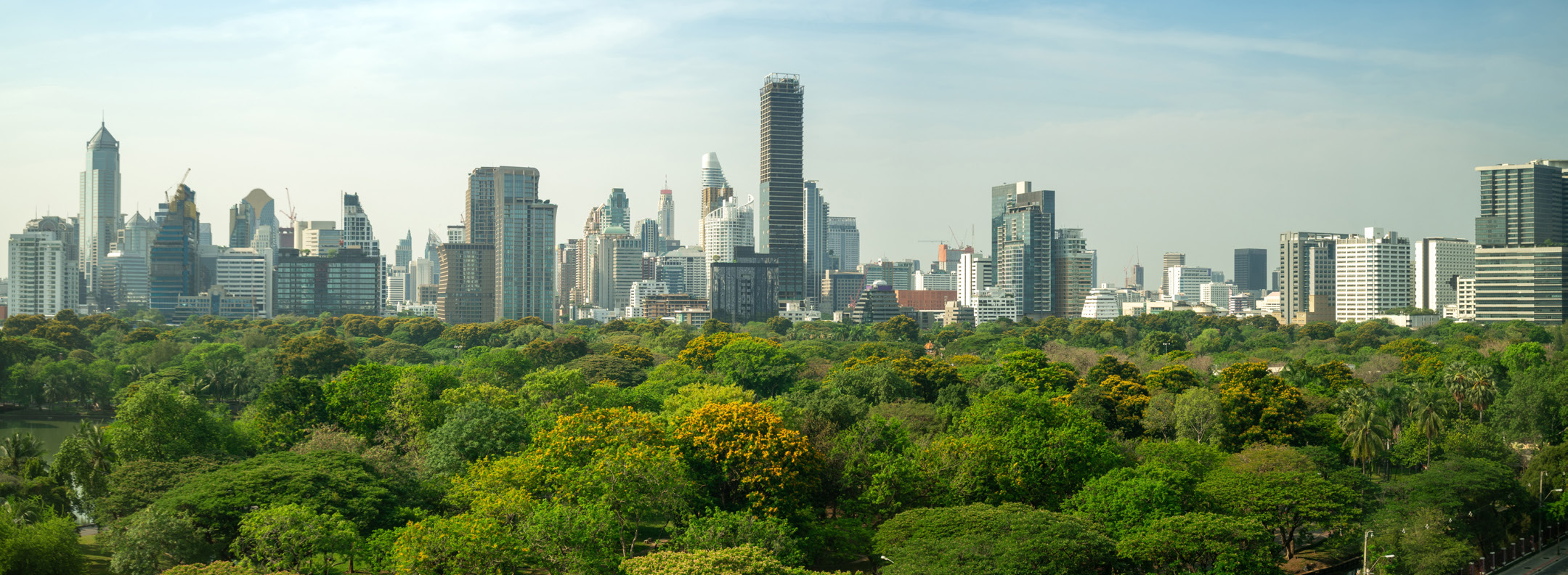 ESG regulations and supplier resilience frameworks