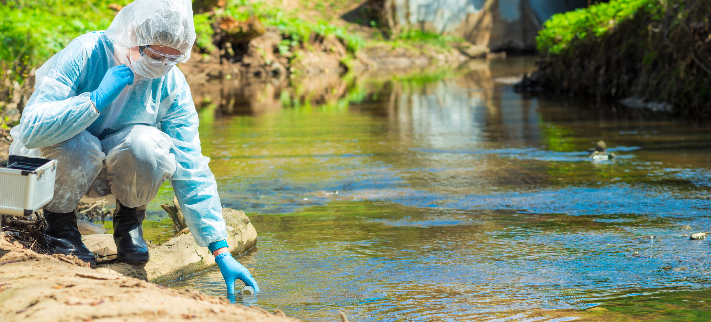 Wildlife and marine ecosystems affected by PFAS contamination in waterways